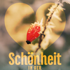 Flyer Webversion | Frauentag 2027 als PDF